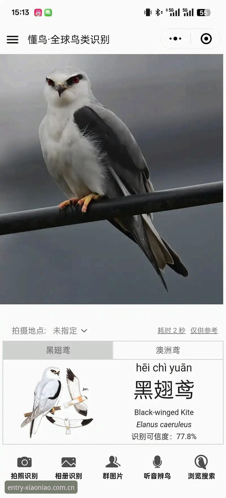 掌握小鸟体育平台2025实用功能，避开这三个高频操作误区