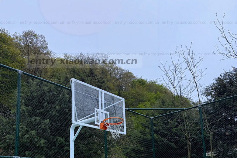 球员飞身鱼跃，凌空抽射破门