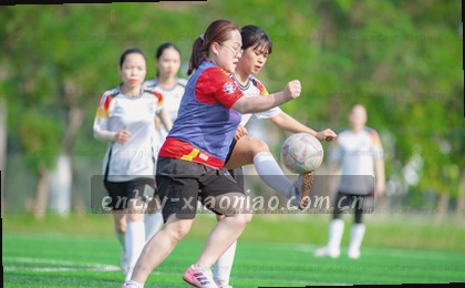 AI预测胜率 球员伤停数据 实时更新